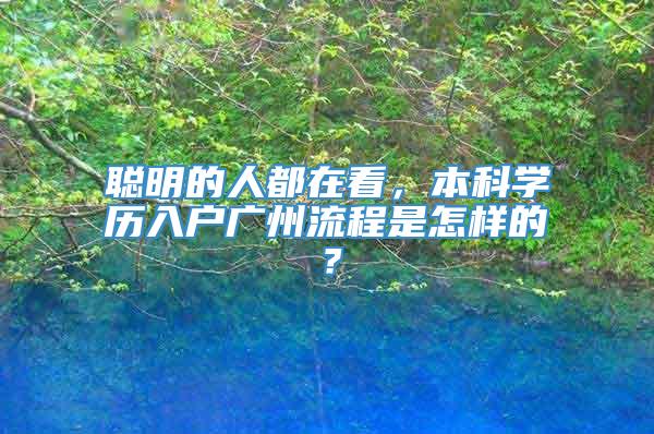 聪明的人都在看，本科学历入户广州流程是怎样的？