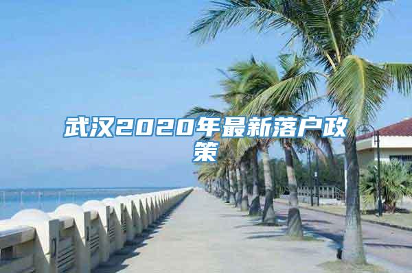 武汉2020年最新落户政策