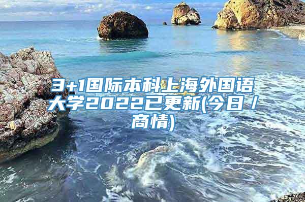 3+1国际本科上海外国语大学2022已更新(今日／商情)