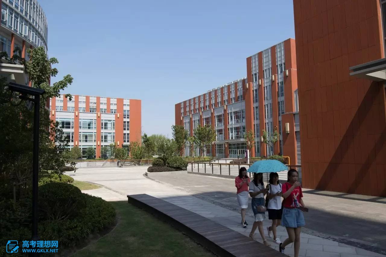 教育部直属211高校--上海外国语大学国际本科招考，不上专科更不用复读！