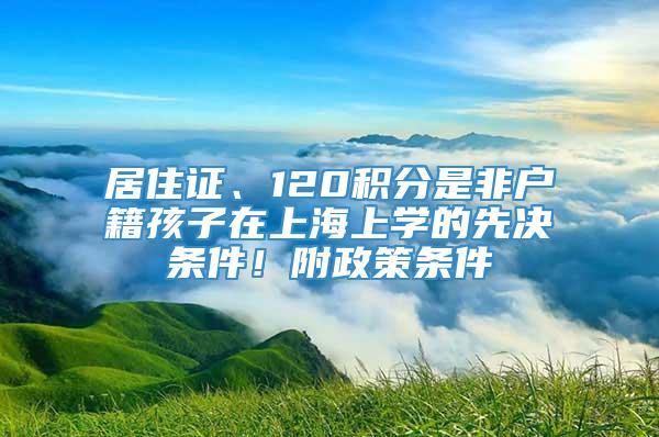 居住证、120积分是非户籍孩子在上海上学的先决条件！附政策条件