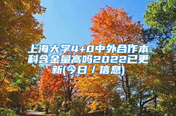 上海大学4+0中外合作本科含金量高吗2022已更新(今日／信息)