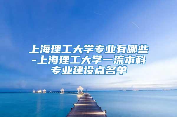 上海理工大学专业有哪些-上海理工大学一流本科专业建设点名单