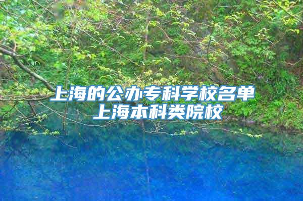 上海的公办专科学校名单 上海本科类院校
