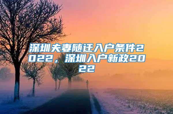 深圳夫妻随迁入户条件2022，深圳入户新政2022