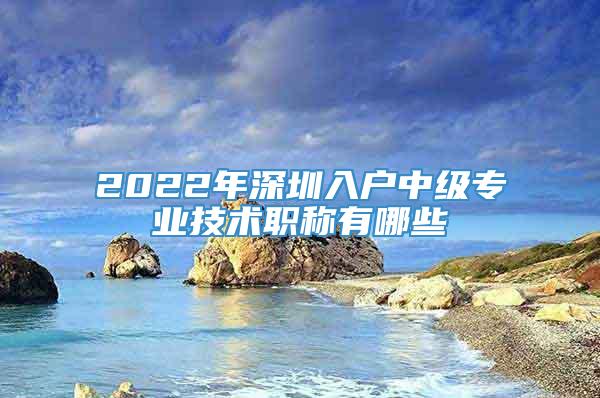2022年深圳入户中级专业技术职称有哪些
