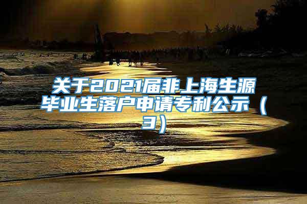关于2021届非上海生源毕业生落户申请专利公示（3）