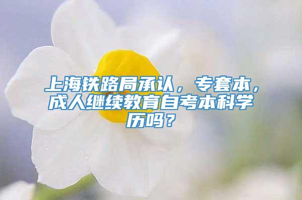 上海铁路局承认，专套本，成人继续教育自考本科学历吗？