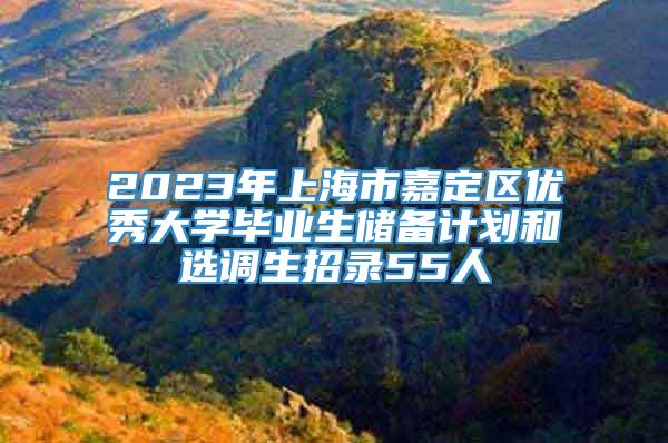 2023年上海市嘉定区优秀大学毕业生储备计划和选调生招录55人