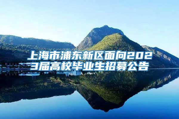 上海市浦东新区面向2023届高校毕业生招募公告