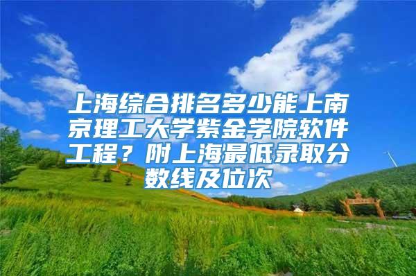 上海综合排名多少能上南京理工大学紫金学院软件工程？附上海最低录取分数线及位次