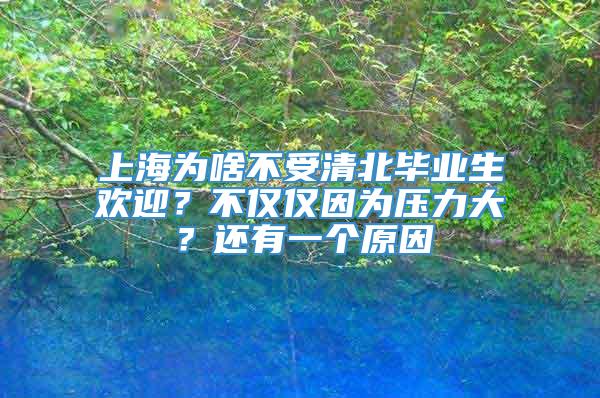 上海为啥不受清北毕业生欢迎？不仅仅因为压力大？还有一个原因