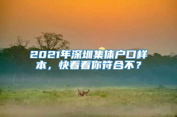 2021年深圳集体户口样本，快看看你符合不？