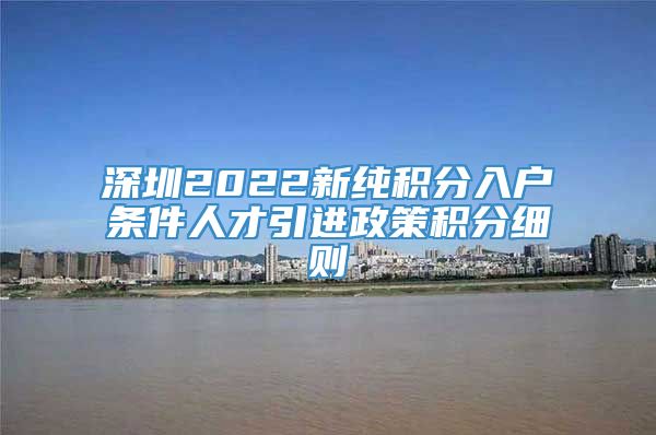 深圳2022新纯积分入户条件人才引进政策积分细则