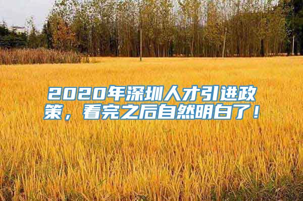 2020年深圳人才引进政策，看完之后自然明白了！