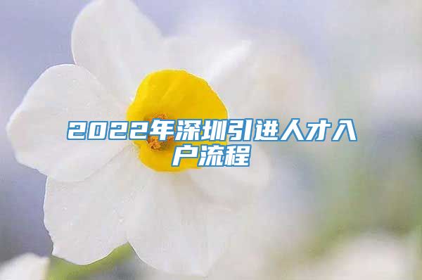 2022年深圳引进人才入户流程