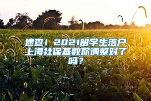 速查！2021留学生落户上海社保基数你调整对了吗？