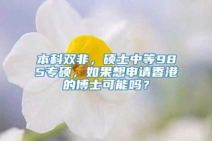 本科双非，硕士中等985专硕，如果想申请香港的博士可能吗？