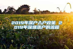 2019年深户入户政策 2019年深圳落户的流程