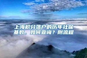 上海积分落户的历年社保基数，如何查询？附流程