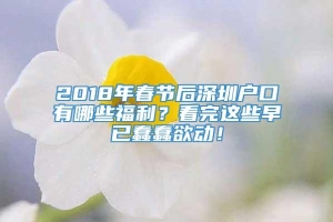2018年春节后深圳户口有哪些福利？看完这些早已蠢蠢欲动！