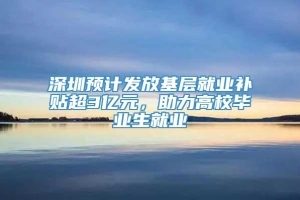 深圳预计发放基层就业补贴超3亿元，助力高校毕业生就业