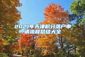2021年天津积分落户申请流程总结大全