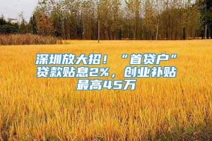 深圳放大招！“首贷户”贷款贴息2%，创业补贴最高45万