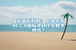 国际本科好吗？上海大学ACCA国际项目什么教学模式？