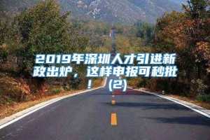 2019年深圳人才引进新政出炉，这样申报可秒批！ (2)