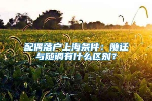 配偶落户上海条件：随迁与随调有什么区别？