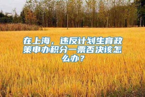 在上海，违反计划生育政策申办积分一票否决该怎么办？