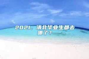 2021，清北毕业生都去哪了？