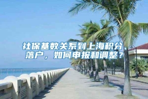 社保基数关系到上海积分、落户，如何申报和调整？