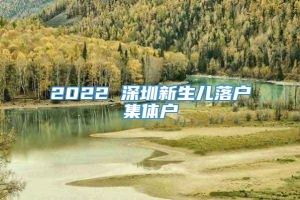 2022 深圳新生儿落户集体户