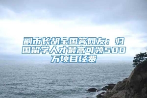 副市长胡宝国答网友：归国留学人才最高可领500万项目经费