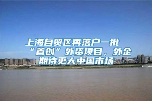 上海自贸区再落户一批“首创”外资项目，外企期待更大中国市场