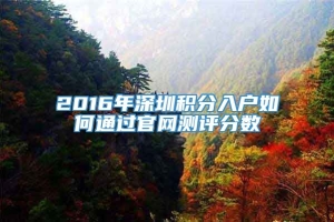 2016年深圳积分入户如何通过官网测评分数