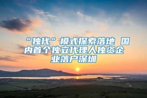 “独代”模式探索落地 国内首个独立代理人独资企业落户深圳