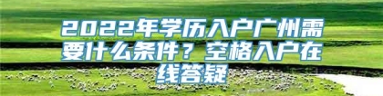 2022年学历入户广州需要什么条件？空格入户在线答疑