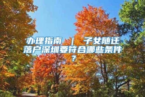 办理指南 ｜ 子女随迁落户深圳要符合哪些条件？