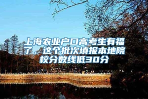 上海农业户口高考生有福了，这个批次填报本地院校分数线低30分