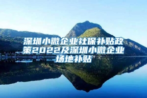 深圳小微企业社保补贴政策2022及深圳小微企业场地补贴