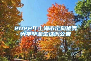 2022年上海市定向优秀大学毕业生选调公告