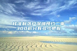 核准制落户深圳预约二审300积分有多少把握