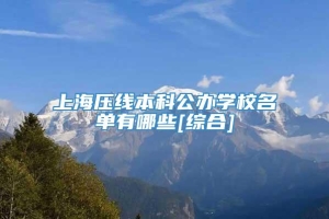 上海压线本科公办学校名单有哪些[综合]