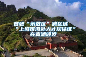 首张“示范区”跨区域“上海市海外人才居住证”在青浦颁发
