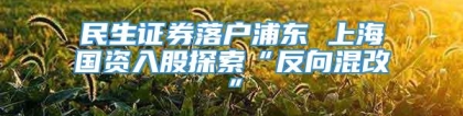 民生证券落户浦东 上海国资入股探索“反向混改”