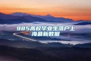 985高校毕业生落户上海最新数据