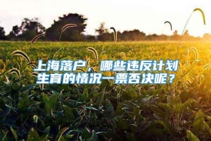 上海落户，哪些违反计划生育的情况一票否决呢？